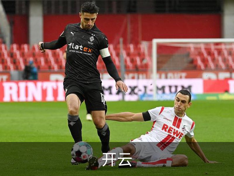 开云概况