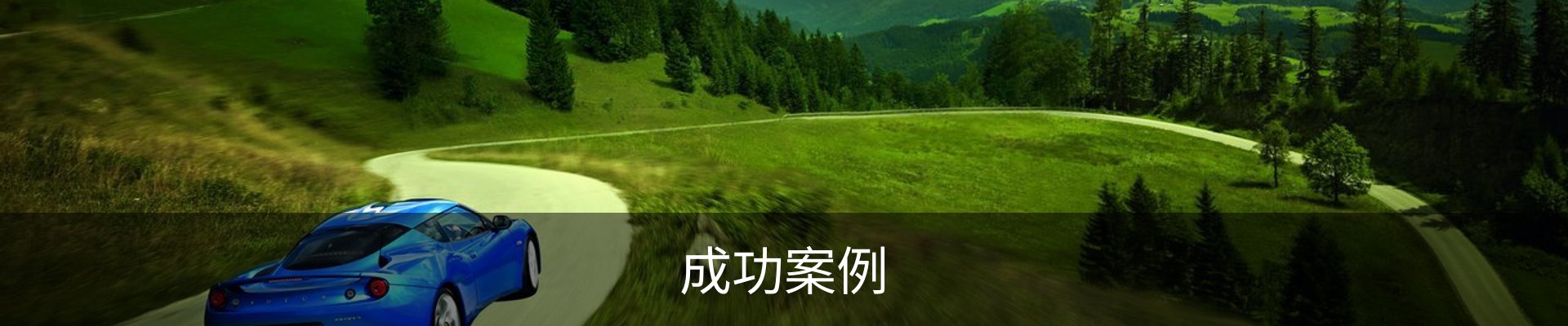 成功案例